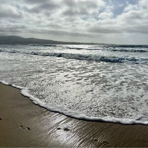 Meet your Posher, Shauna